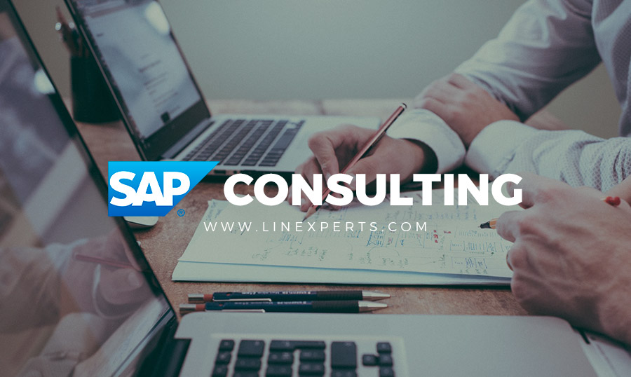 Servicios SAP consulting Linexperts moviles