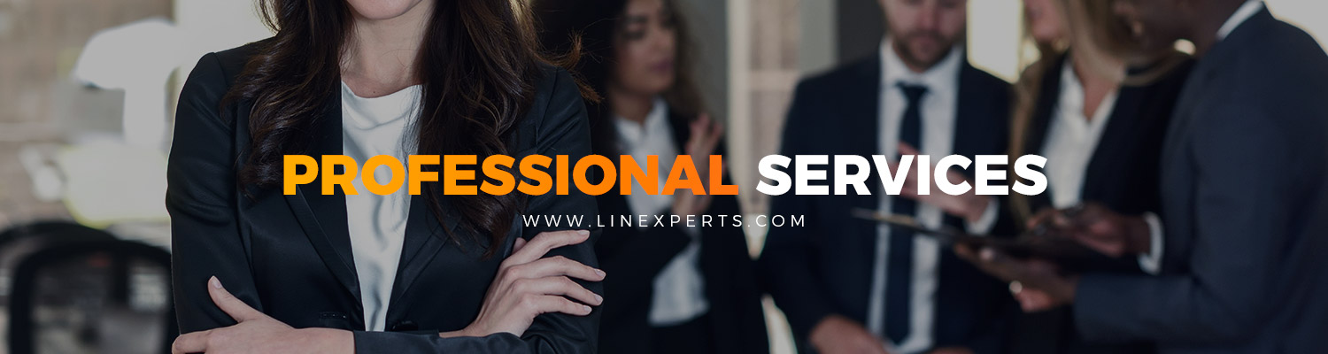 Professional services Linexperts