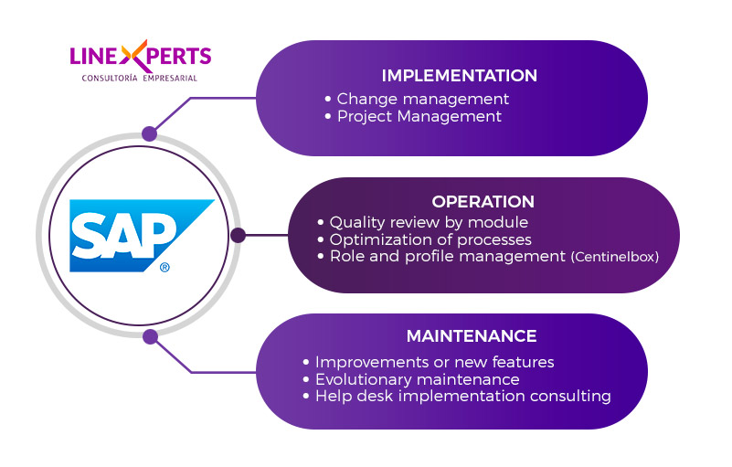 img implementacion operacion mantenimiento Consultoria SAP Linexperts