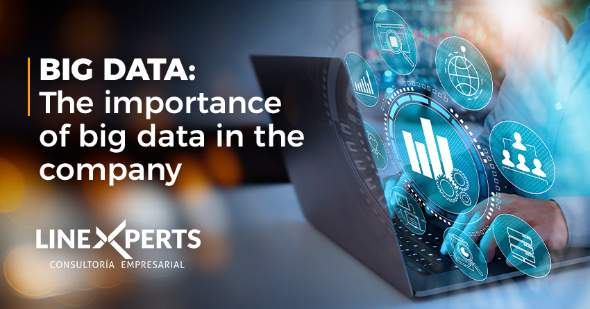 Big data: The importance of big data in the company