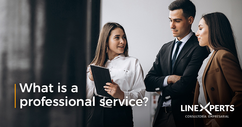 What is a professional service?