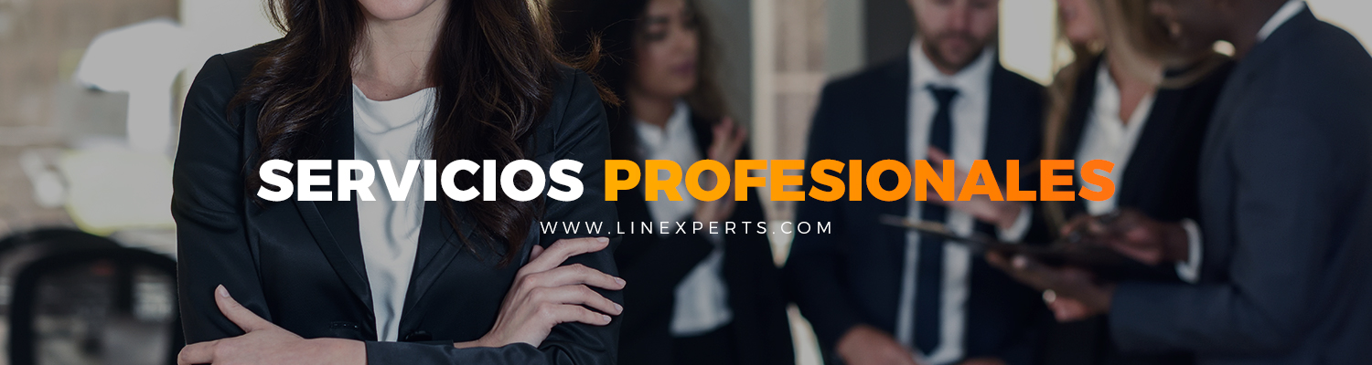Banner Servicios Profesionales Linexperts