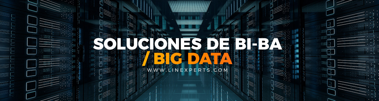 Servicios Soluciones BI BA Big data Linexperts