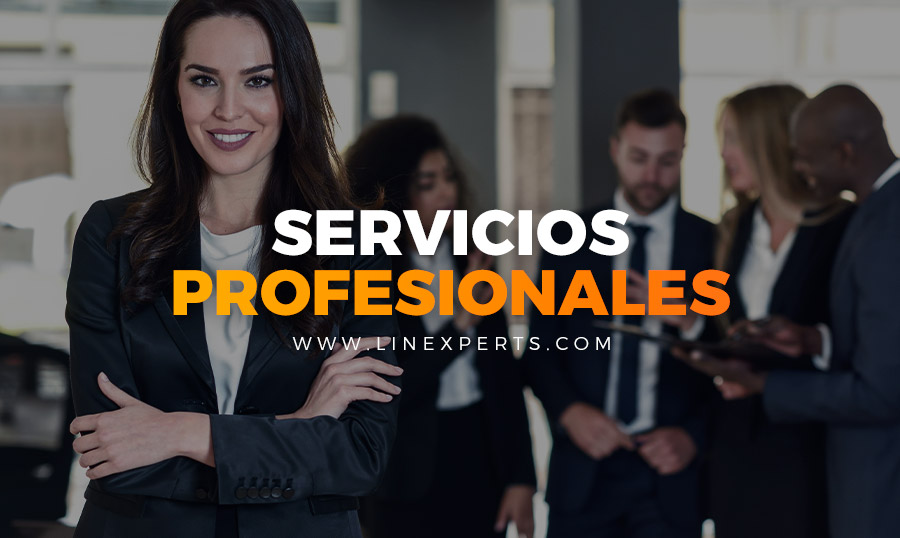Banner Servicios Profesionales Linexperts moviles